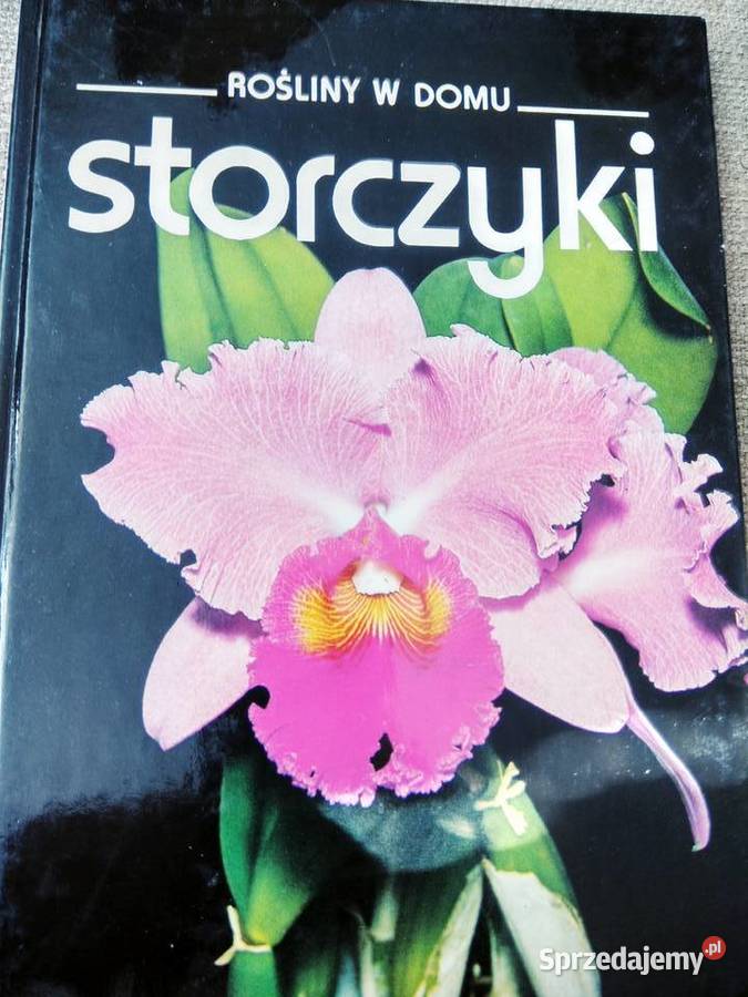 Prezenty książki Storczyki Muza antykwariat Warszawa