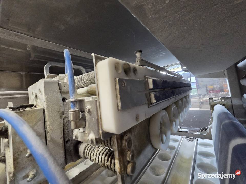 Linia do bułek hamburgerów hotdogów Fortuna Rzeszów