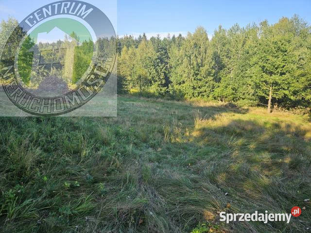 sprzedaży działki Mystków 9500m2 sprzedam
