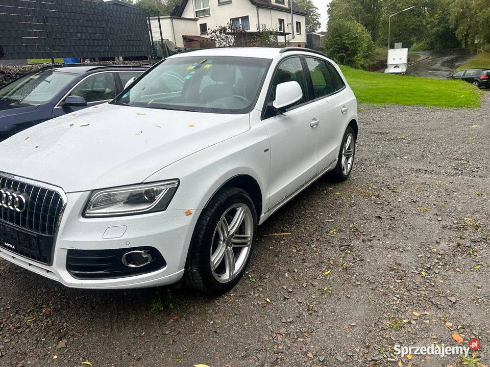 Audi nieuszkodzony Włocławek