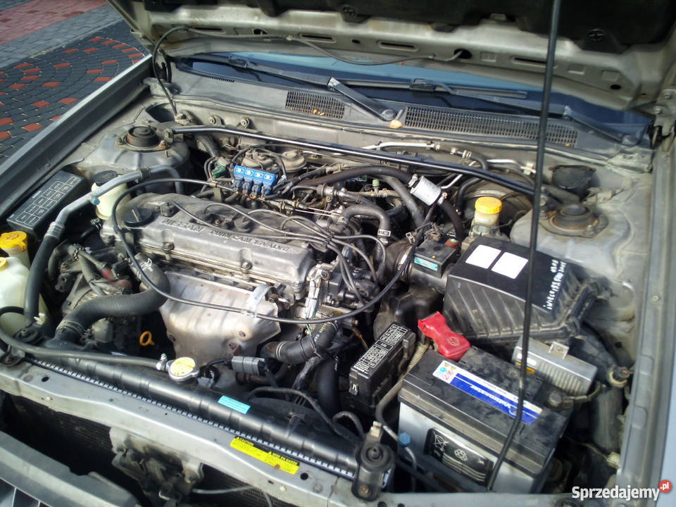 nissan altima zamiana van benzyna+LPG Nowy Borek sprzedam