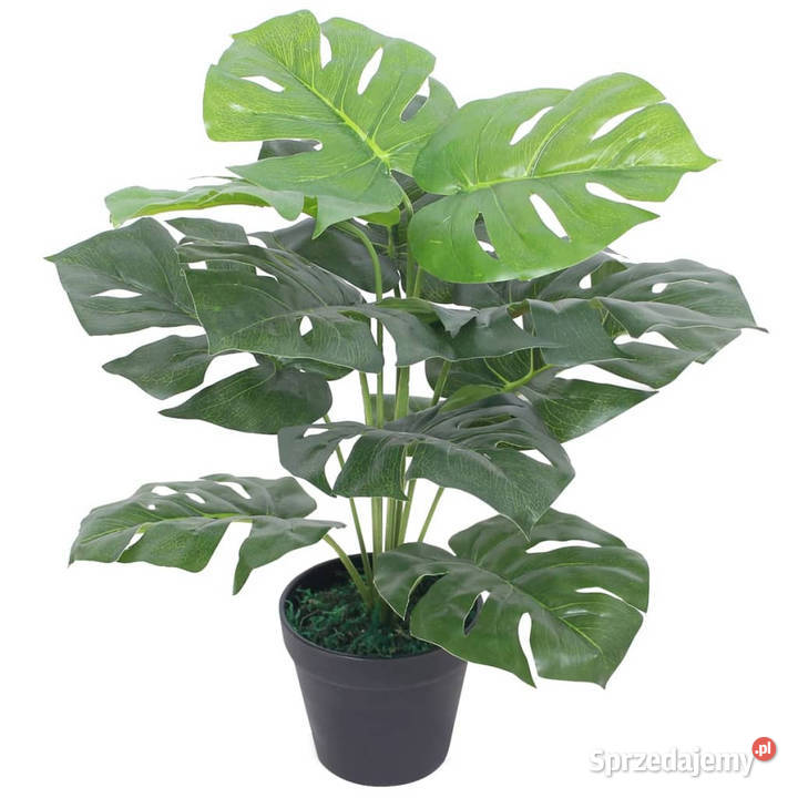 Sztuczna monstera z doniczką 45 zielona WM244434 mazowieckie Warszawa