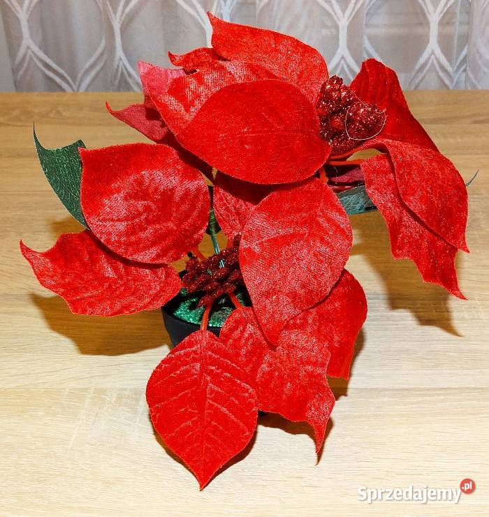 Ozdoba świąteczna sztuczny kwiat w doniczce śląskie Gliwice