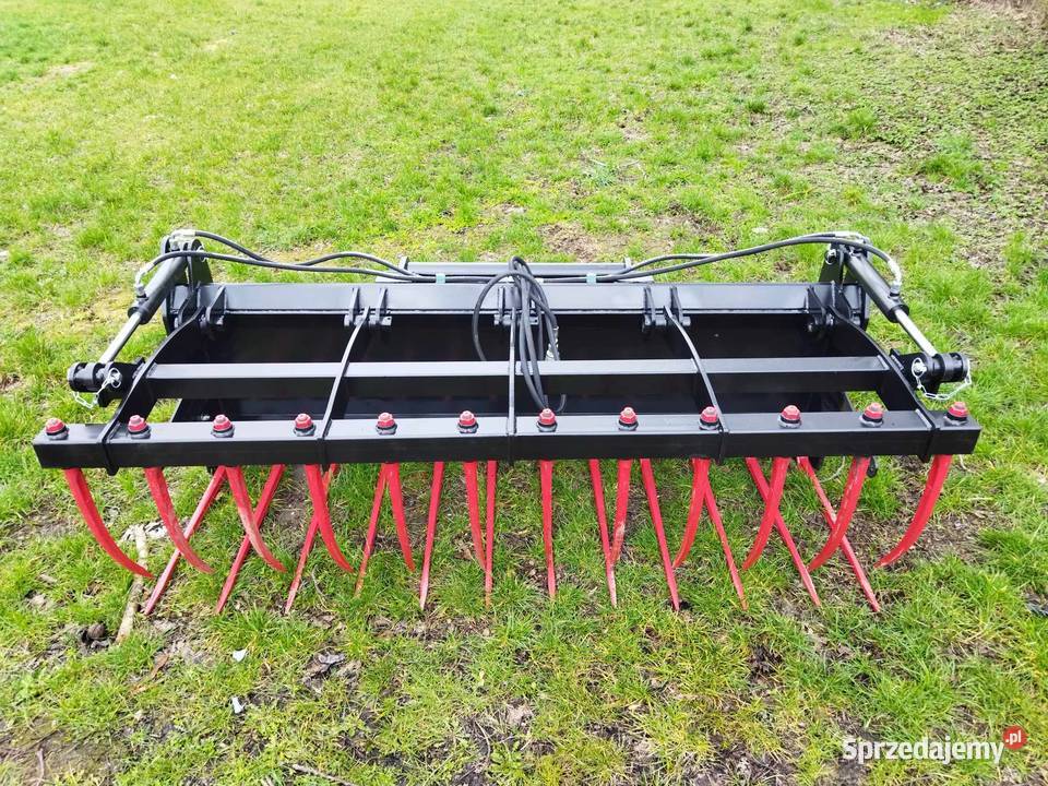 Krokodyl kute zęby ciężki euro sprzedam