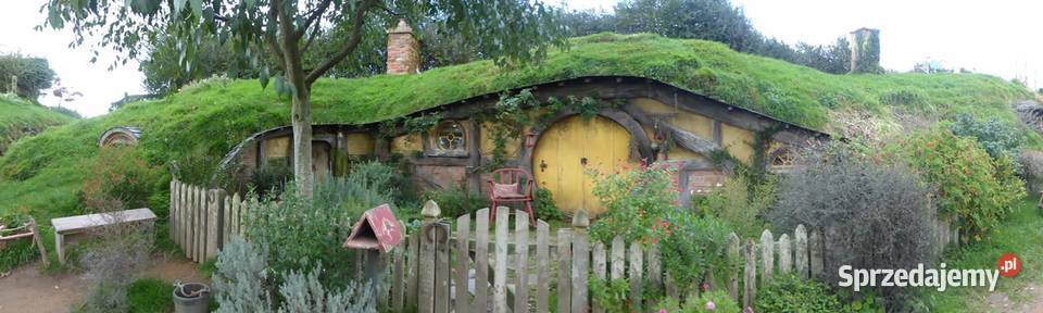 Zadaszenie domku holenderskiego sauny tratwy