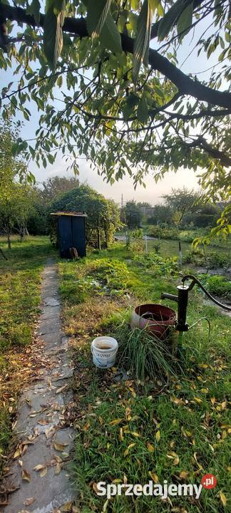 Ogódek działkowy ROD sprzedam