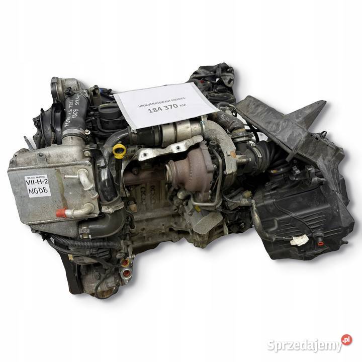 SILNIK NGDA NGDB Ford Focus III MK3 16 TDCI 105 osobowe