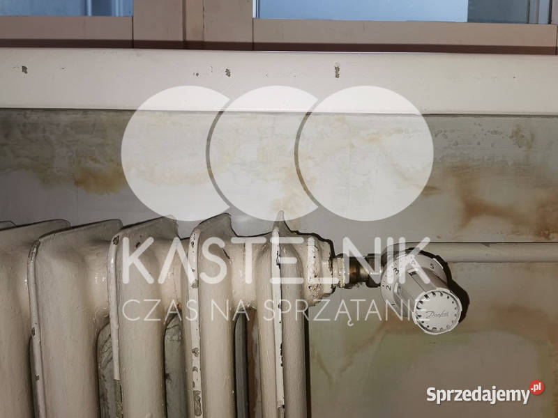 Odgrzybianie ścian Bartoszyce Kastelnik Usuwanie