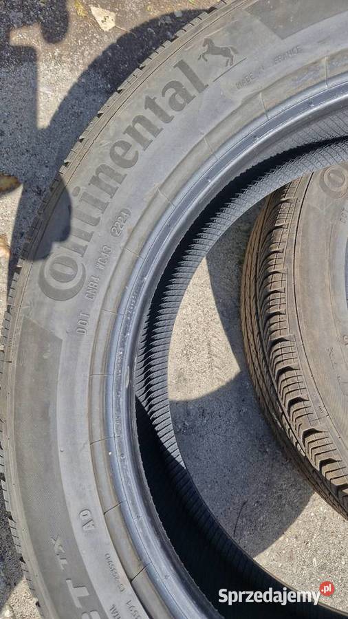 23550r19 99H Continental ProContact tx Myszadła