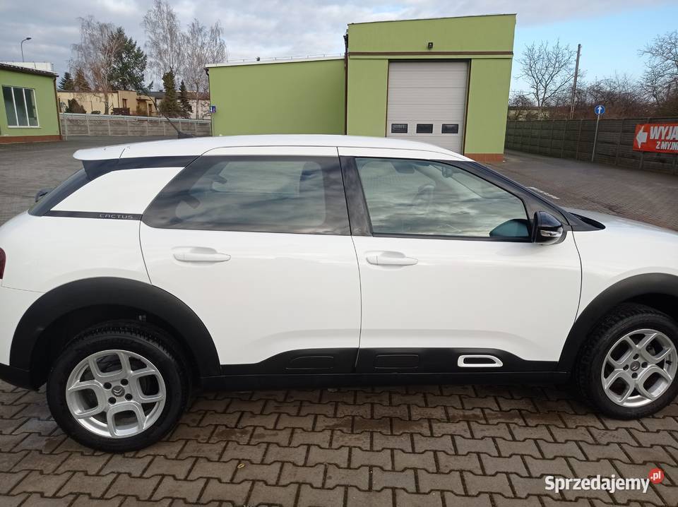 Citroen C4 Cactus 15 bluHdi C4 Cactus Rawicz