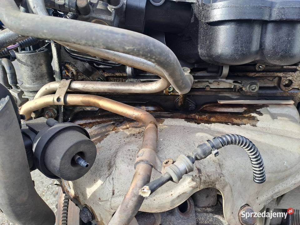 Audi Skoda Seat Volkswagen 16 8V 102 silnik Silniki kompletne Jastrzębie-Zdrój
