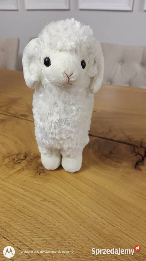 Maskotka baran Dla Dziecka Ciechanów