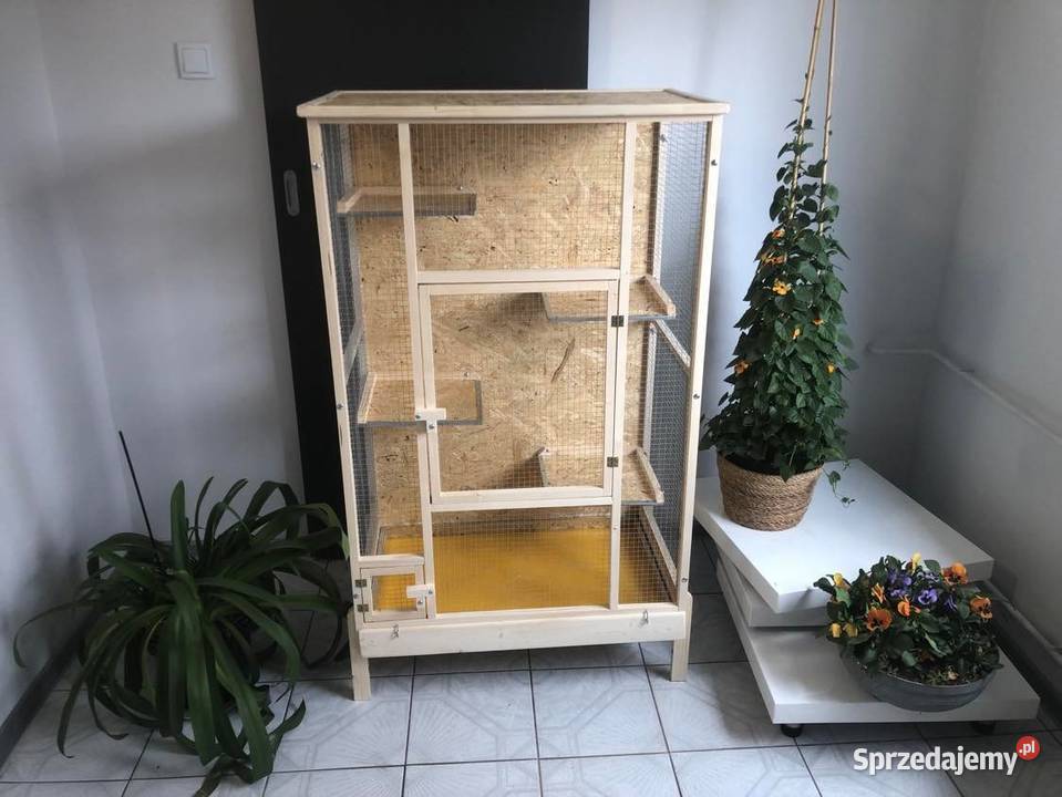 Klatka drewniana gryzonia szynszyli wiewiórki śląskie Myszków