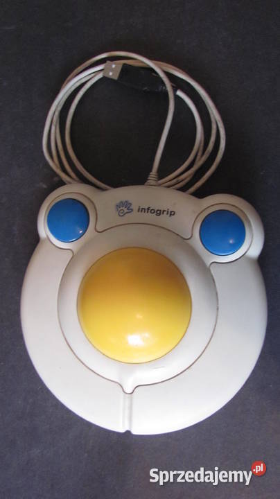 Bigtrack mysz komuterowa niepełnosprawnych Piotrków Trybunalski