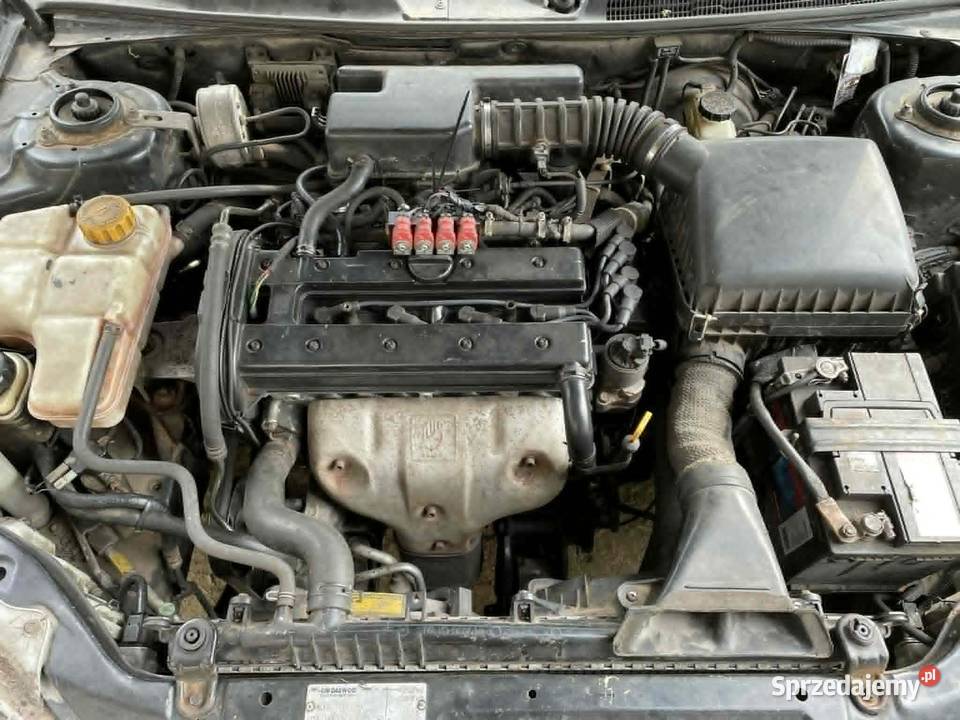 Silnik t20sed 20 16v Chevrolet Evanda x20xe Opel Części samochodowe Branewka-Kolonia