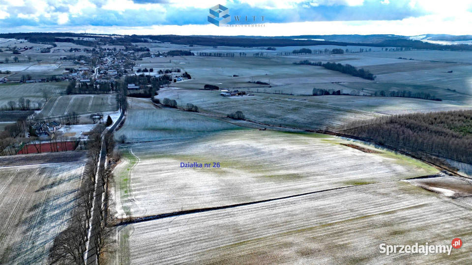 sprzedaży ziemi Pietrzwałd 154000m2 warmińsko-mazurskie