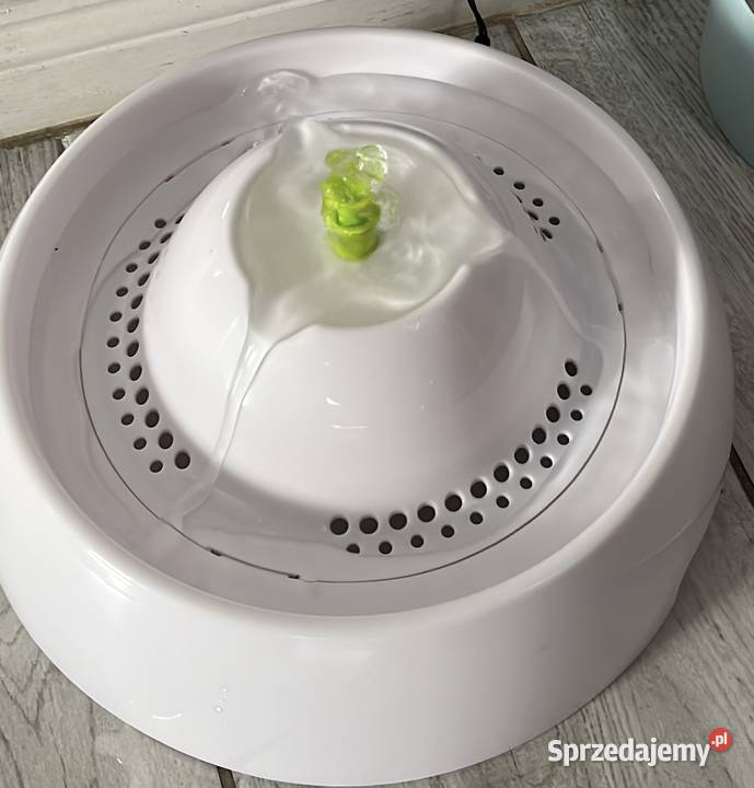 Kuweta kota opolskie Zielina sprzedam