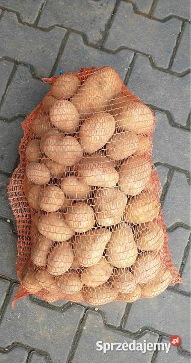 Ziemniaki soraja Charsznica