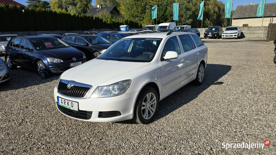 koda Octavia 20 TDI Serwis II 20042013 Zieleniewo