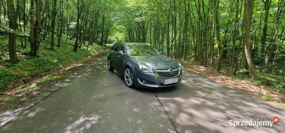 Opel Insignia 20 Ecoflex Zamość