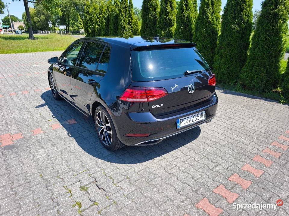 Golf VII 16 TDI DSG FUll LED Golf wielkopolskie Krotoszyn