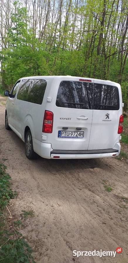 Peugeot Expert ABS Władysławów