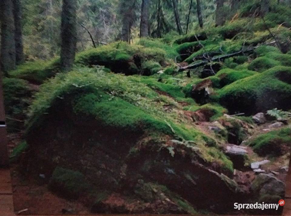 obraztryptyk Bukowno