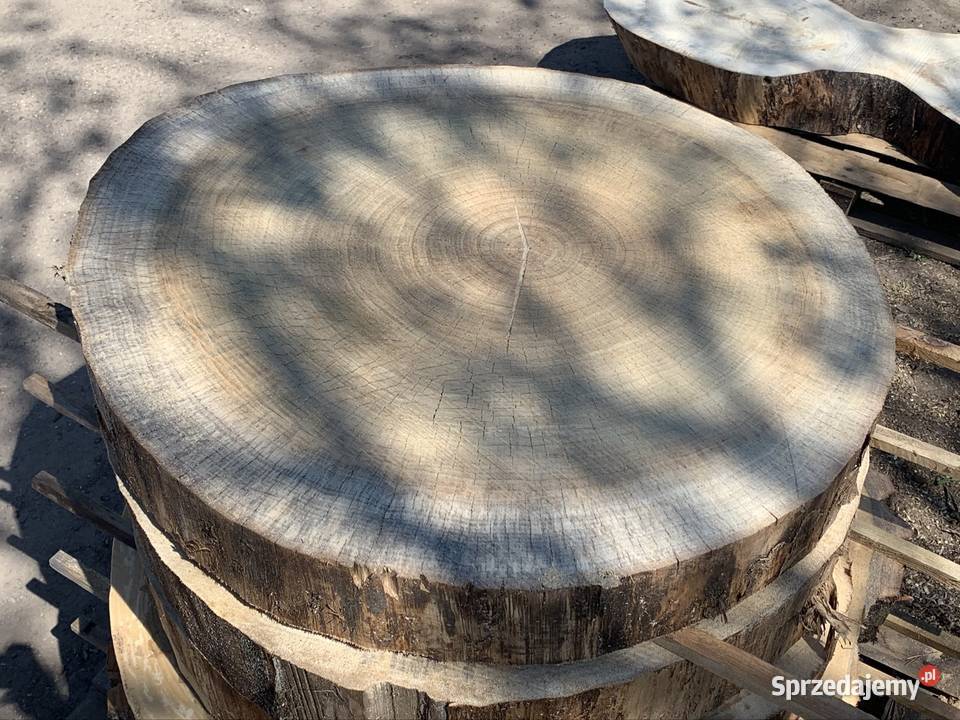 Plastry krążki z topola drewniane na stolik podlaskie Dryga