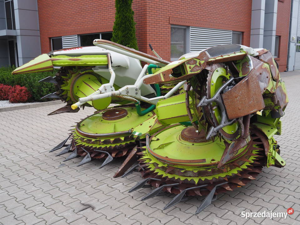 Claas Orbis 450 Przystawka do kukurydzy heder Stęszew