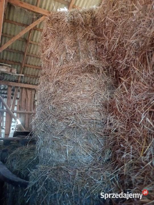Sprzedam siano słome Kaszuby