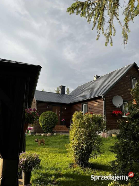 sprzedam dom siedlisko mieszkalny Sprzedaż Kołodno