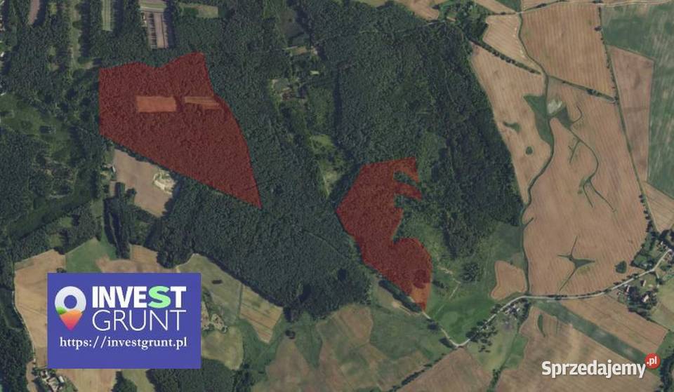 931 ha grunty rolne przetarg na dzierżawę sprzedam