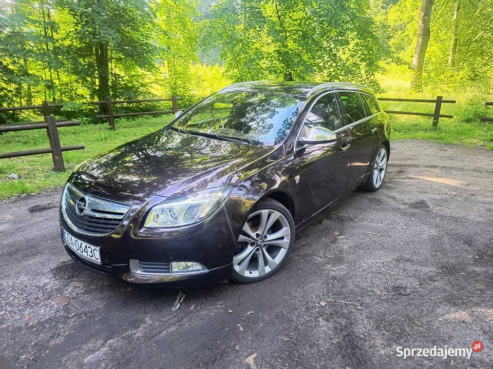 Opel Insignia A 20 CDTI 4x4 Automat Sobowidz