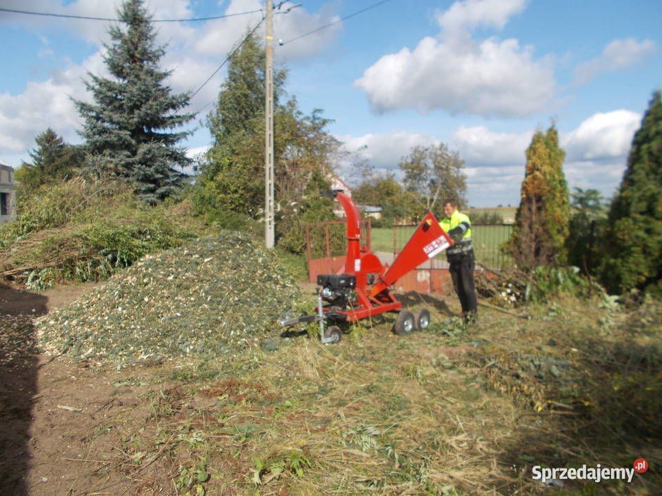 spalinowy rębak do gałęzi RTS 630
