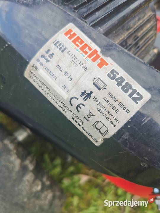 Buggy Hecht 54812 z 2018 roku