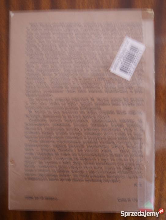 Mary Norton Pożyczalscy w przestworzach Parczew