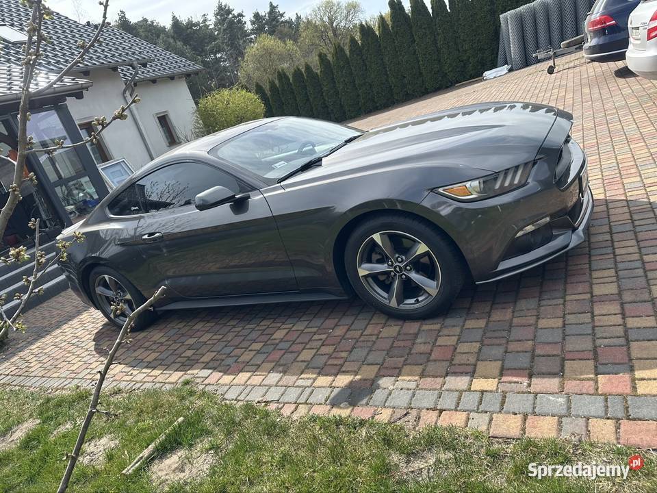 Ford Mustang 37 305 305KM Grodzisk Wielkopolski