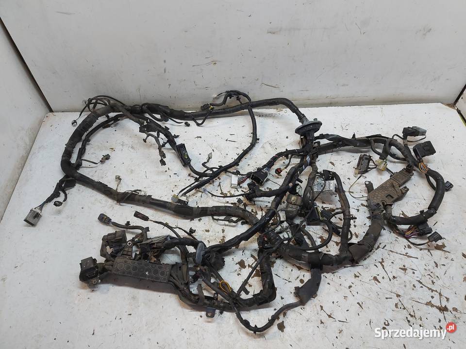 Ford Ranger VI 6 2024r 30 WIĄZKA INSTALACJA osobowe Materiały instalacyjne