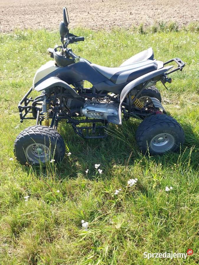 Quad kingway Dolice