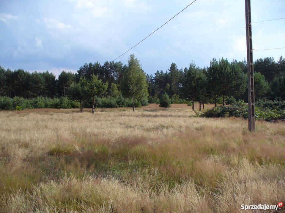 sprzedam działkę budowlaną mazowieckie Długosiodło
