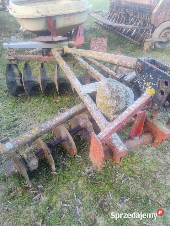 Talerzówka kujawsko-pomorskie