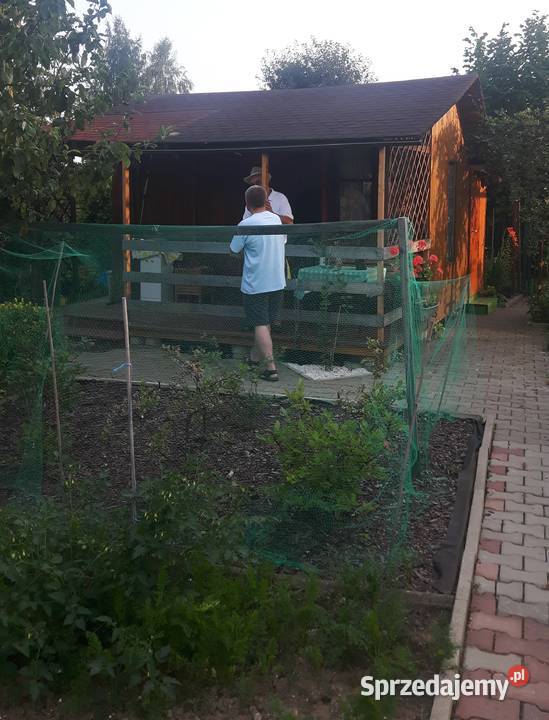 Sprzedam działkę na ROD Stare Stawy Oświęcim rekreacyjna