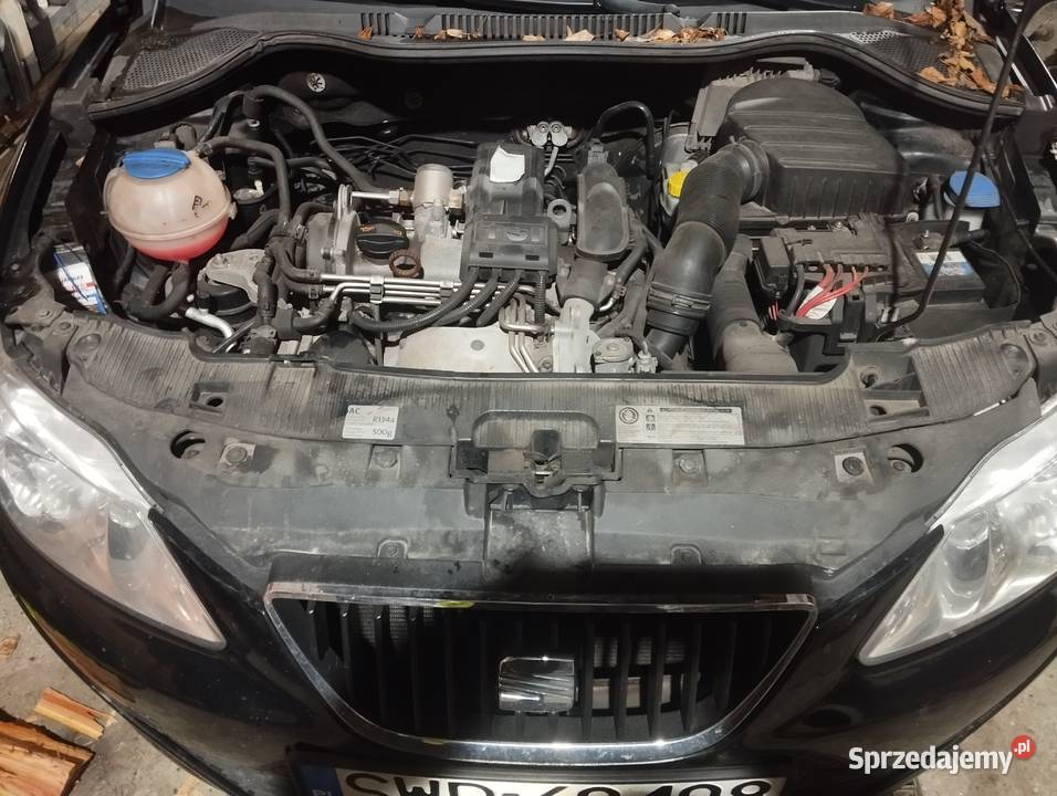 Seat Ibiza 230000km Ściborzyce