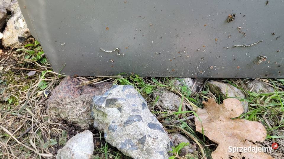 Drzwi Volvo V40 Drzwi Części samochodowe Łagów