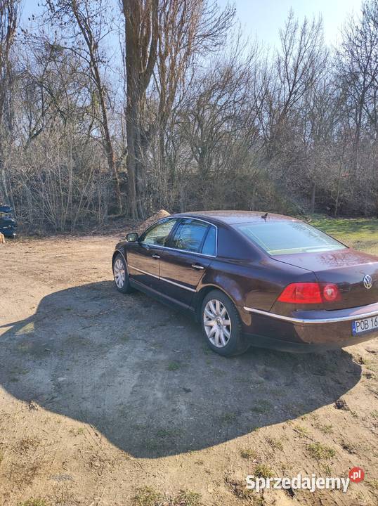 VW Phaeton 30tdi 240 silnik cexa GP1 wielkopolskie
