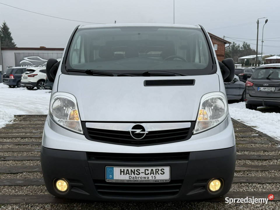 Opel Vivaro super standoinwestowanyklimaz Dąbrowa sprzedam