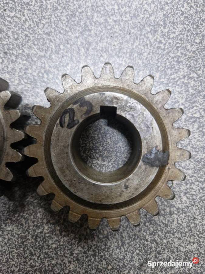 Tryb Cz 125 250 cross 380 984 Falta 980 513 Mx Białystok