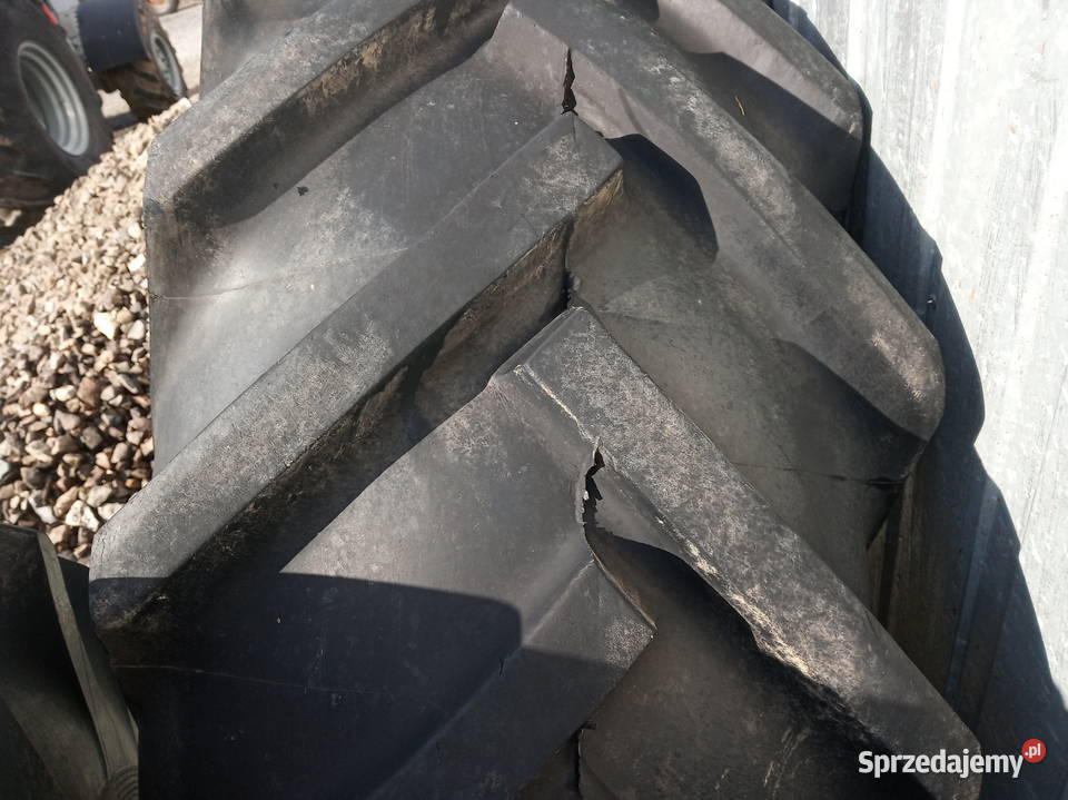 Koła kompletne bizon fortschritt ursus bieżnik