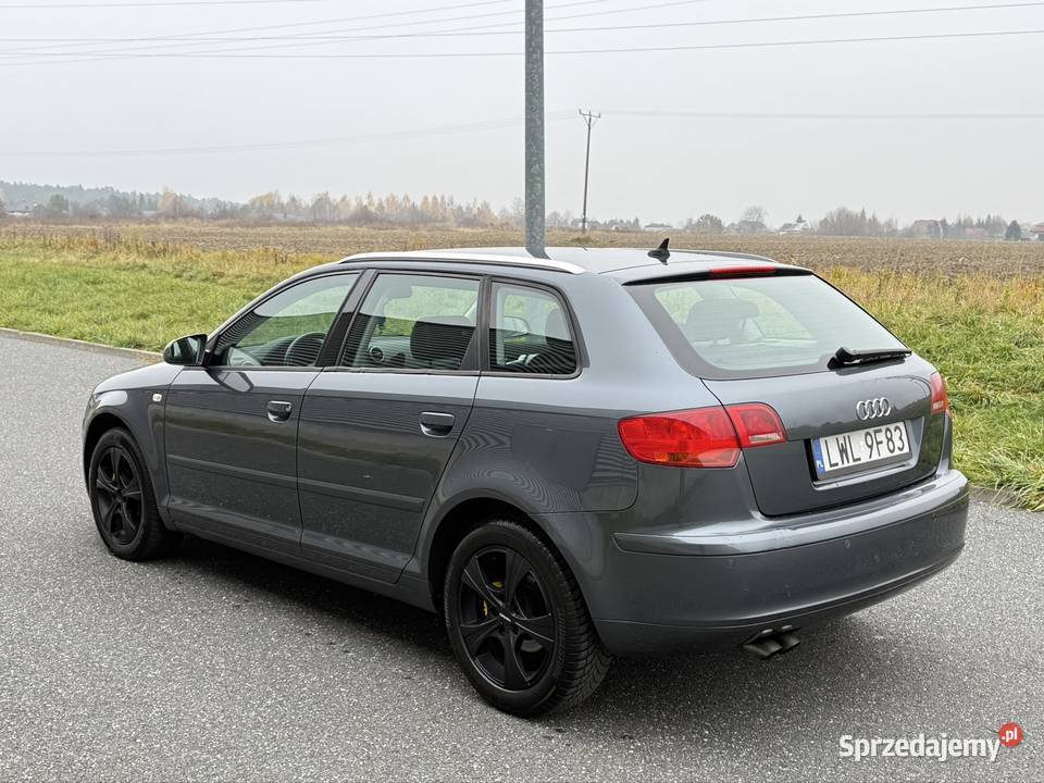 Audi A3 Sportback 20 TDI DSG 2005r Stan 5Drzwi szary