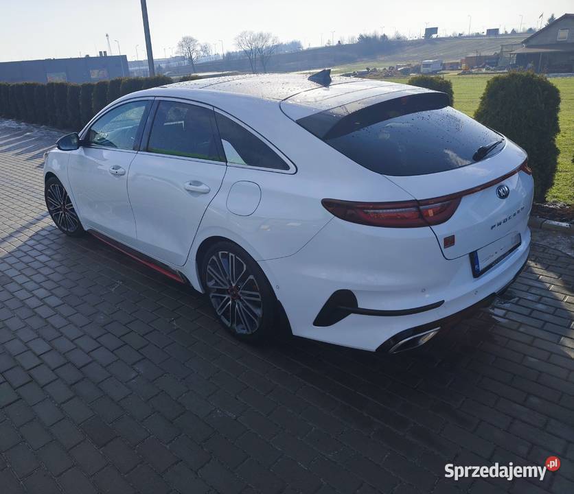 Kia ProCeed serwisowany w ASO biały 2019 r Procee'd Piastoszyn